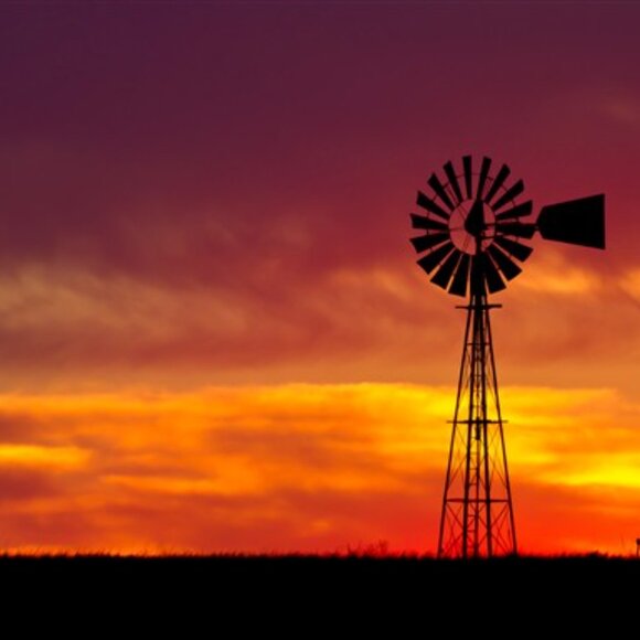 Meet your Posher, Tawny K - Picture 5 of 10